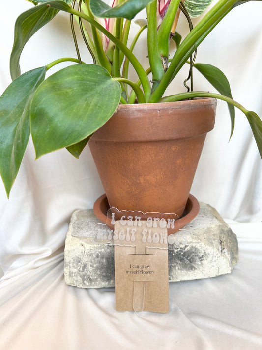 Wood & Scroll - "I Can Grow Myself Flowers" Acrylic Plant Stake